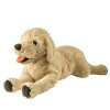 Jouets en peluche Mignon chien de guérison dormir cadeau danniversaire Labrador jaune chien poupée en peluche chien poupée c