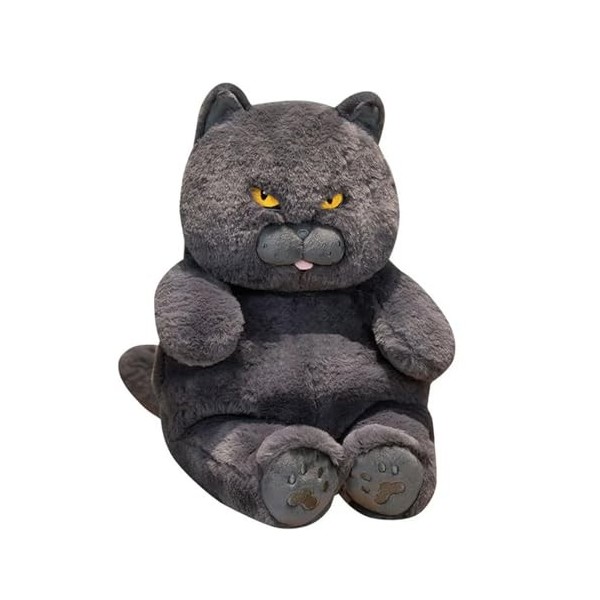 SaruEL Mignon Jouet en Peluche potelé Chat à Poil Court Peluche Animal Chat poupée Enfants Tapis de Couchage Beau Cadeau d’An