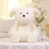 SaruEL Mignon éponge Chiot Jouet en Peluche Chien poupée Beau Oreiller pour Petit ami Cadeau d’Anniversaire 60cm 2