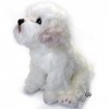 Chien Havanais maltais Peluche Chien Peluche Chien Assis Layla