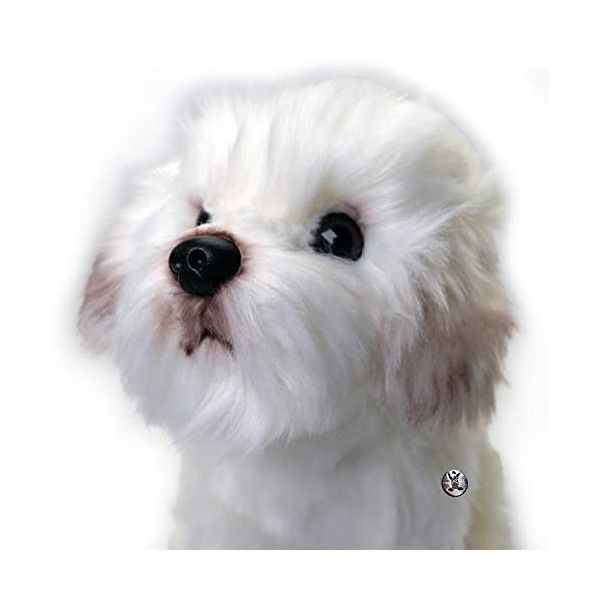 Chien Havanais maltais Peluche Chien Peluche Chien Assis Layla