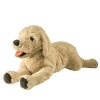 Peluches Mignon Chien de guérison Dormir Cadeau danniversaire Labrador Jaune Chien poupée en Peluche Chien poupée Chiffon po