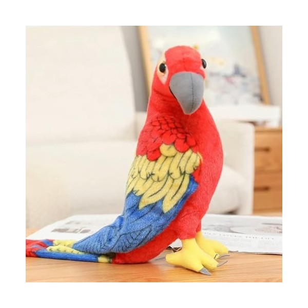 Perroquet Mignon réaliste Peluche Animaux Jouets Kawaii Oiseau poupées Enfants Filles Cadeaux d’Anniversaire Cadeaux de Noël 