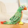 Perroquet Mignon réaliste Peluche Animaux Jouets Kawaii Oiseau poupées Enfants Filles Cadeaux d’Anniversaire Cadeaux de Noël 