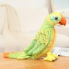 Perroquet Mignon réaliste Peluche Animaux Jouets Kawaii Oiseau poupées Enfants Filles Cadeaux d’Anniversaire Cadeaux de Noël 