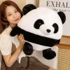 NOpinz Nouveau Mignon Boule Panda Peluche Jouet en Peluche Bande Dessinée Animal Oreiller Enfants Kawaii Cadeau Anniversaire 