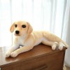 SaruEL Mignon Golden Retriever Retriever Jouet en Peluche Chiot Oreiller Poupée Jouet Enfants Fille Cadeau D’Anniversaire 75c