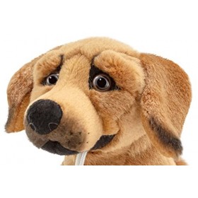 Trudi- Jouet, TUDK2000, Marron