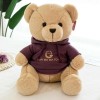 Peluche Poupée Oreiller Enfants Cadeau D’Anniversaire Haute Qualité Ours en Peluche Sweat À Capuche Peluche Animal Peluche Jo