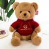 Peluche Poupée Oreiller Enfants Cadeau D’Anniversaire Haute Qualité Ours en Peluche Sweat À Capuche Peluche Animal Peluche Jo