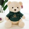 Peluche Poupée Oreiller Enfants Cadeau D’Anniversaire Haute Qualité Ours en Peluche Sweat À Capuche Peluche Animal Peluche Jo