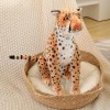 NOpinz Léopard Peluche Jouets géant guépard Peluche Animaux Oreiller Animal poupée Jouets Enfants Cadeaux d’Anniversaire 56cm