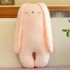 Kawaii Lapin Longue Oreille en Peluche Poupée Oreiller Enfants Fille Cadeau D’Anniversaire Home Decor Enfants Anniversaire Ca