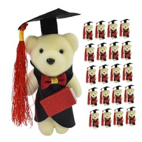 Totority 24 Pièces Dr Ours Miniature Jouets Jouets en Peluche Mini Ours en Peluche Bouquet De Fleurs De Remise des Diplômes P