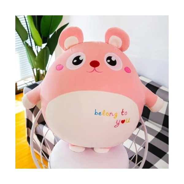 Coussin Souris Mignon Peluche Animal Peluche Jouet Fille Enfant Garçon Jouet Mignon Souris Poupée Cadeau D’Anniversaire 50cm 