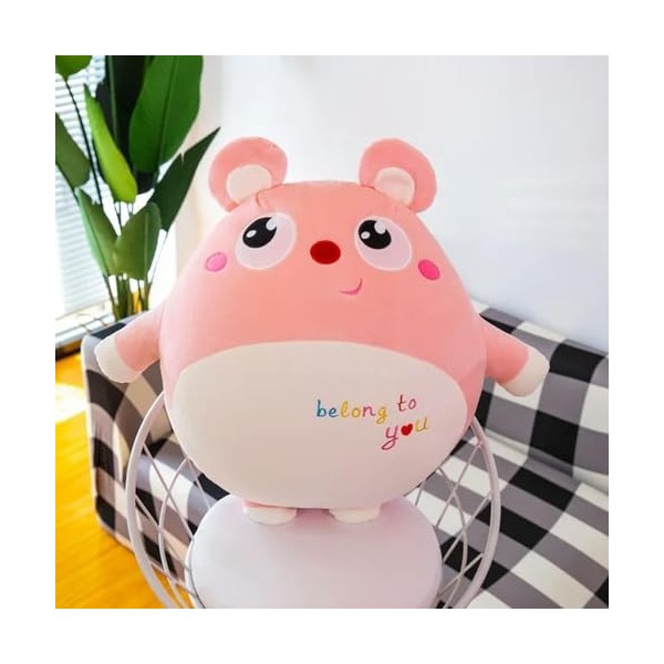 Coussin Souris Mignon Peluche Animal Peluche Jouet Fille Enfant Garçon Jouet Mignon Souris Poupée Cadeau D’Anniversaire 50cm 