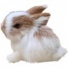 Katartizo Mini lapin en peluche réaliste - Modèle de simulation de lapin de Pâques - Cadeau danniversaire - Figurine de lapi