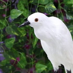 GaYouny Simulation Peluche Jouet Peluche Jouets Doux Jouets Animaux Peluches Figurines Mignon poupée Coussin Pompes for Anniv