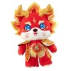 Amagogo Jouet en Peluche Dragon du Nouvel an Chinois 2024, Jouet de décoration, Animal en Peluche à câliner pour Enfants, Jou