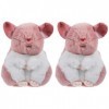 Totority 2 Pièces Hamster Poupée en Peluche Hamster en Peluche Animal Coussin en Peluche Chinchilla Animal Décoratif Coussin 