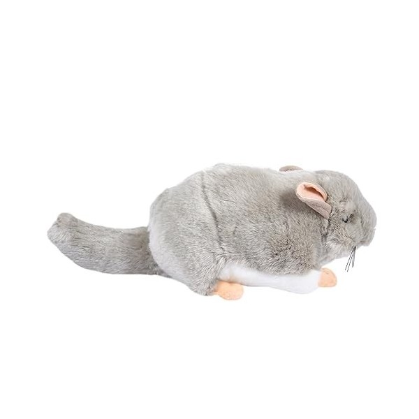 ABOOFAN 2 Pièces Mon Voisin en Peluche Jouet danniversaire Poupée Cadeau Coussin Jouet Sommeil Animal Oreiller Dessin Animé