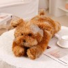 EacTEL Chien poupée coloré en peluche peluche peluche chien peluche peluche pour enfants cadeau danniversaire 55 cm 1