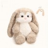 EacTEL Lapin À Longues Oreilles Peluche Jouet Oreiller Poupée Dessin Animé Mignon Peluche Jouet Chambre Décoration Cadeaux De