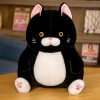 EacTEL Mignon Chat en Peluche Jouet Chat poupée potelé Chaton Couchage Oreiller Cadeau pour Enfants Fille décorer Anniversair