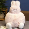 PaMut Ornements : Peluches Canard, poupées Panda, poupées Lapin, Coussins en Peluche, Cadeaux d’Anniversaire pour Enfants, Ca