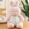 Kawaii Ours Doux Lapin Chat Jouets en Peluche Animal Canard Chien Enfants Cadeau Belle Grosse Poupée Oreiller Décoration De L