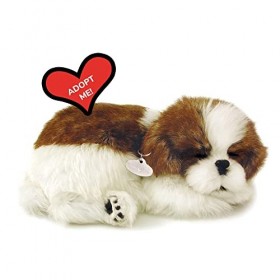 Plenty Gifts- Perfect Petzzz Soft Shih Tzu, 96293, Universel, Taille Unique