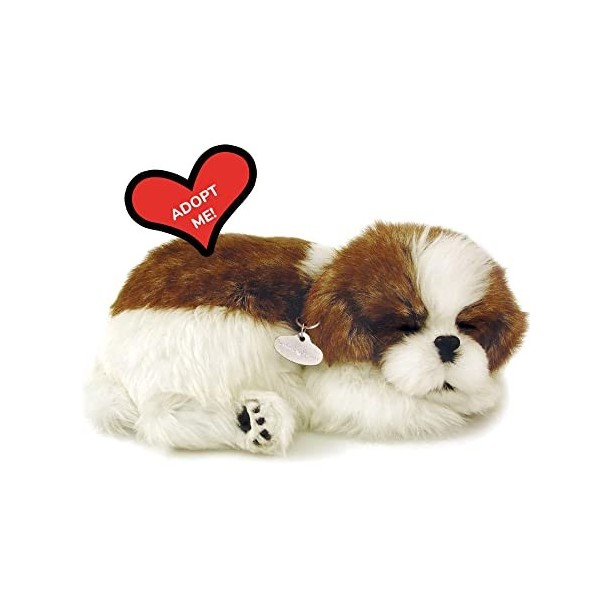 Plenty Gifts- Perfect Petzzz Soft Shih Tzu, 96293, Universel, Taille Unique