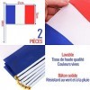 Kit Supporter France – 4 accessoires : Perruque + lunettes + maquillage + drapeau Bleu Blanc Rouge - ALLEZ LES BLEUS - Qualit