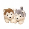 ASSASSIN Peluche Jouets en Peluche De Chien Mignons, Poupées en Peluche De Chien Doux, Poupées De Chien, Ornements De Poupée,