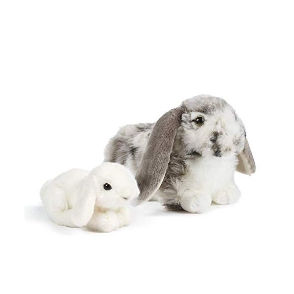 Living Nature AN499 Lot de Cadeaux pour Le Lapin Gris et bébé Lapin hollandais, Blanc, Taille Unique