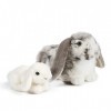 Living Nature AN499 Lot de Cadeaux pour Le Lapin Gris et bébé Lapin hollandais, Blanc, Taille Unique