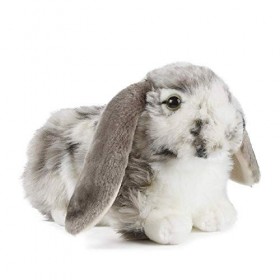 Living Nature AN499 Lot de Cadeaux pour Le Lapin Gris et bébé Lapin hollandais, Blanc, Taille Unique