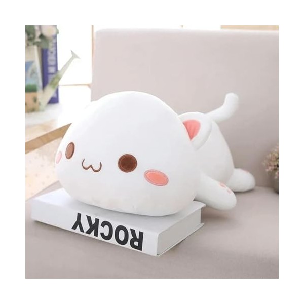 EacTEL Kawaii Peluche chat douce enfants jouet chat câlin coussin mignon poupée raton laveur peluche coussin animal mignon ca