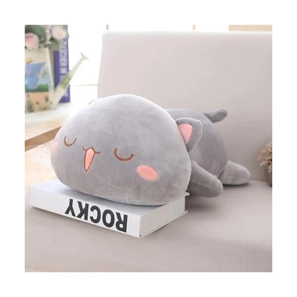 EacTEL Kawaii Peluche chat douce enfants jouet chat câlin coussin mignon poupée raton laveur peluche coussin animal mignon ca