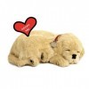 Perfect Petzzz - 4908 - Peluche - Chien Golden Retriever