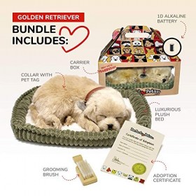 Perfect Petzzz - 4908 - Peluche - Chien Golden Retriever