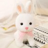 Doux Dessin Animé Grandes Oreilles Lapin en Peluche Jouet Mignon Lapin Poupée en Peluche Animal Mignon Jouet Oreiller Fille E