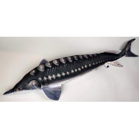Coussin Peluche Poisson ESTURGEON 125 CM