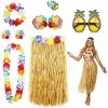 CO 8PCS Costume dHawaï, Jupe de Hula Kit daccessoires，Déguisement pour Fille Femme,Hula Dansant,Hawaiian Lei,Pince à Cheveu