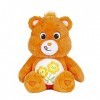 Care Bears ‎22138 14 inch Medium Plush Friend Bear, Collectable Cute Plush Toy, Cuddly Toys for Children, Soft Toys for Girls