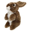 ABOOFAN 3 Pièces en Peluche Lapin en Peluche Ensemble De Jeu en Peluche Lapin en Peluche Lapin Kawaii en Peluche Lapin Poupée