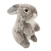 ABOOFAN 3 Pièces en Peluche Lapin en Peluche Ensemble De Jeu en Peluche Lapin en Peluche Lapin Kawaii en Peluche Lapin Poupée