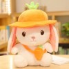 LfrAnk Mignon Lapin de Fruits en Peluche avec Chapeau poupée de Bande dessinée Lapin Oreiller Enfants Anniversaire Jouet en P