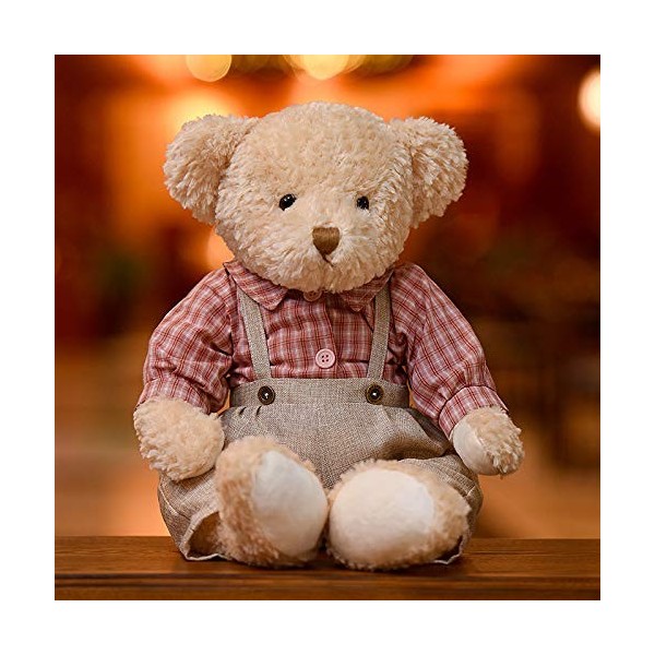 Mignon Ours en Peluche en Peluche Couple Ours Portant Jupe Ours Poupée Presse Poupée Cadeau danniversaire-B,65cm