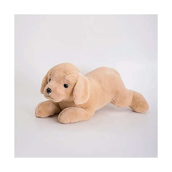 NOpinz Haute Qualité Chien Peluche Jouet en Peluche Dessin Animé Animal Golden Retriever Couchage Oreiller Chaise Tapis Cadea